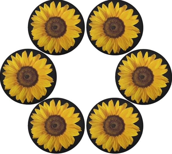 INDIVIDUAL GIRASOL ANTIDESLIZANTE – 1 UNIDAD